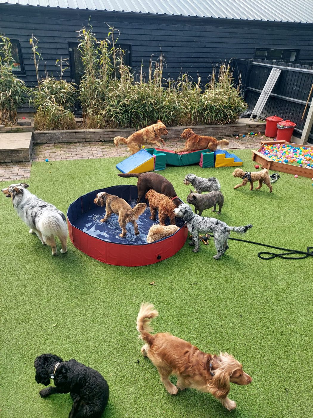 The daycare garden: paddling pool, agility and plenty of space