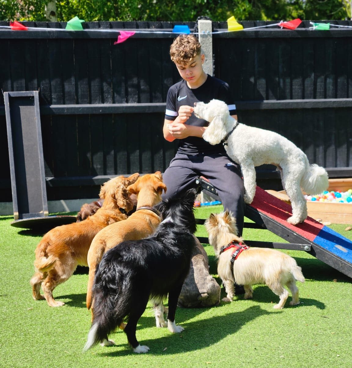 Lucas out in the garden with the pack